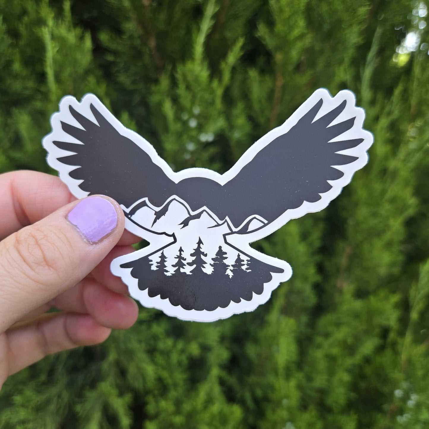 Owl Vinyl Sticker