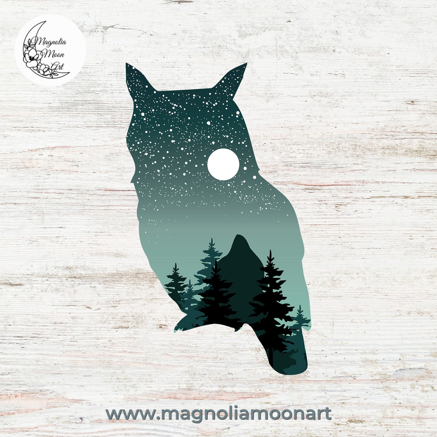 Owl with Starry Sky PNG
