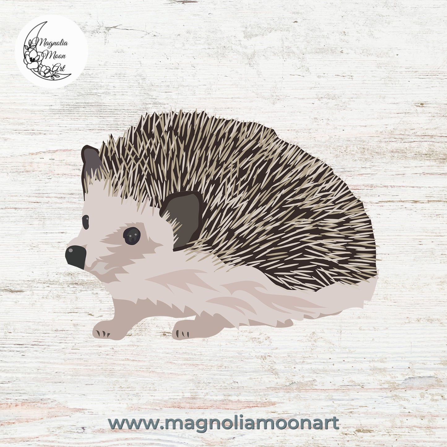Hedgehog PNG