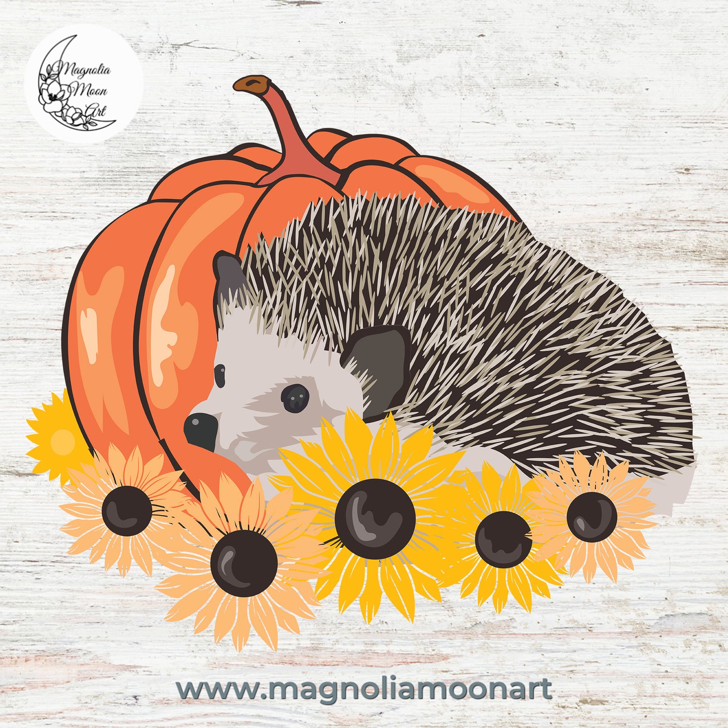 Hedgehog Pumpkins Fall PNG