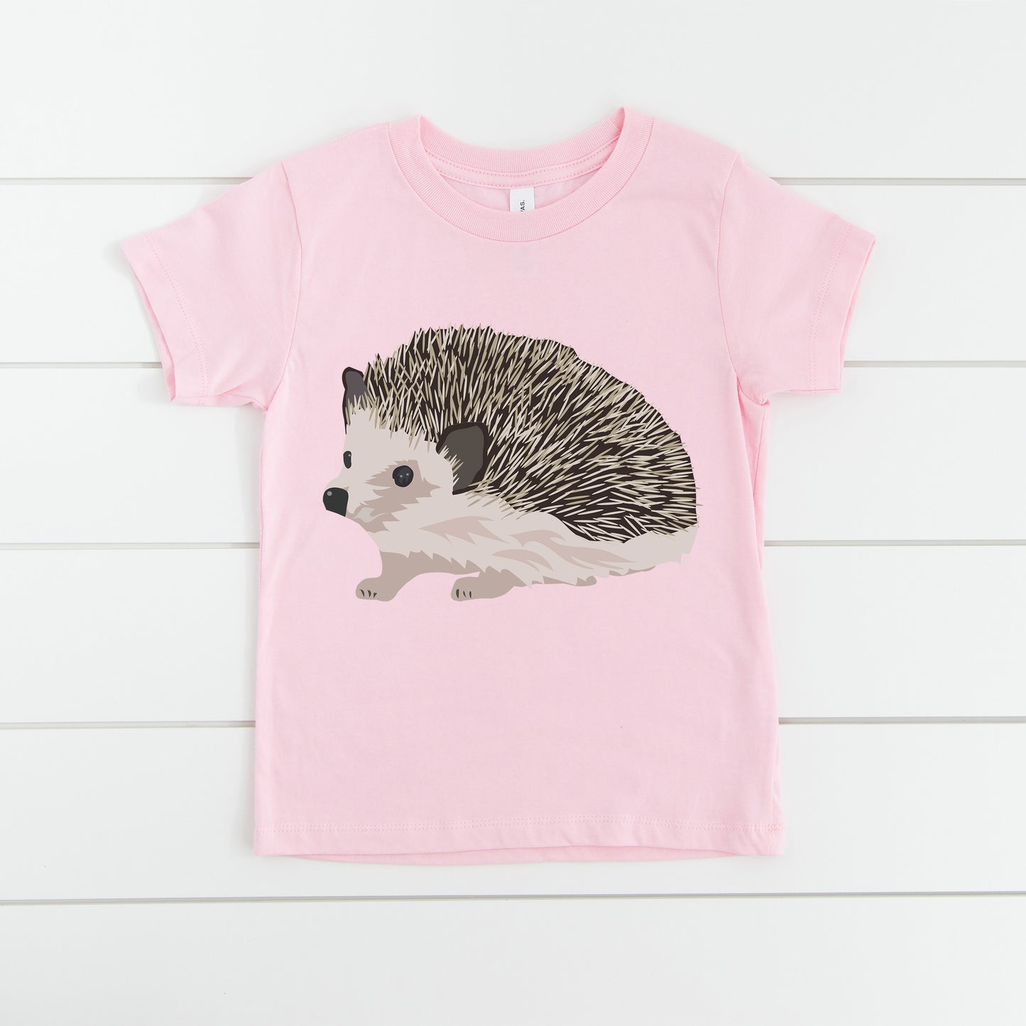 Hedgehog PNG