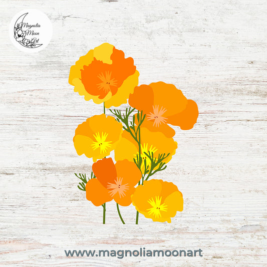 California Poppies PNG
