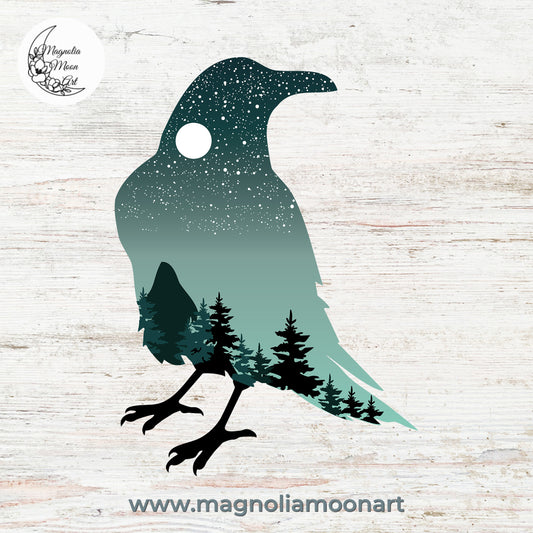 Raven with Starry Sky PNG